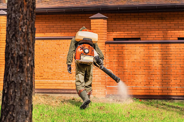 Top rated local Mosquito Control specialists in Flushing, MI
